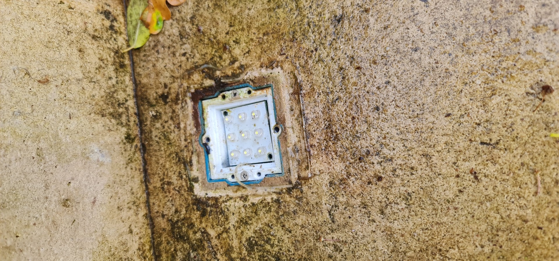 ALEX'ELEC — Photos 9